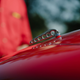 Illustration for article titled Some pic from Vancouver Luxury supercar weekend